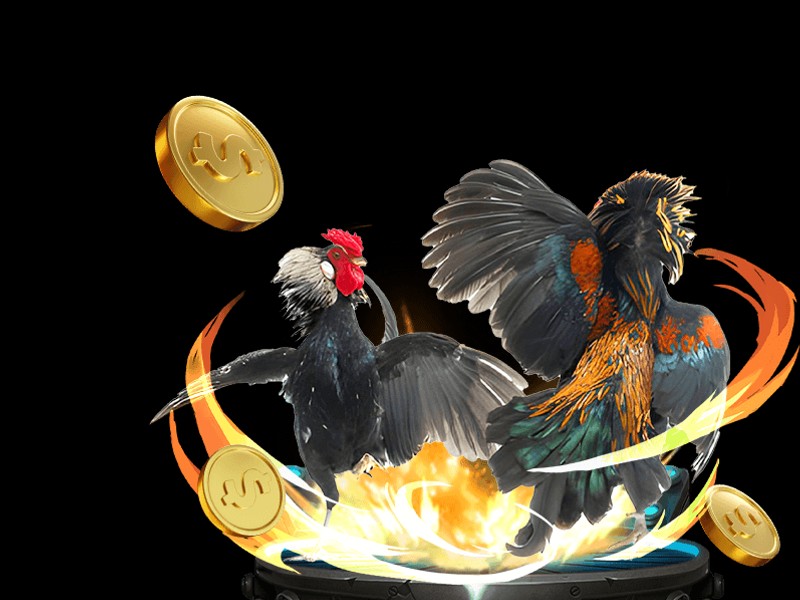 Giao diện ứng dụng mayclub trên điện thoại